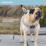 Step-In Dog Harness - Grey