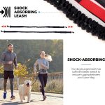 Floral Navy Hands Free Dog Leash